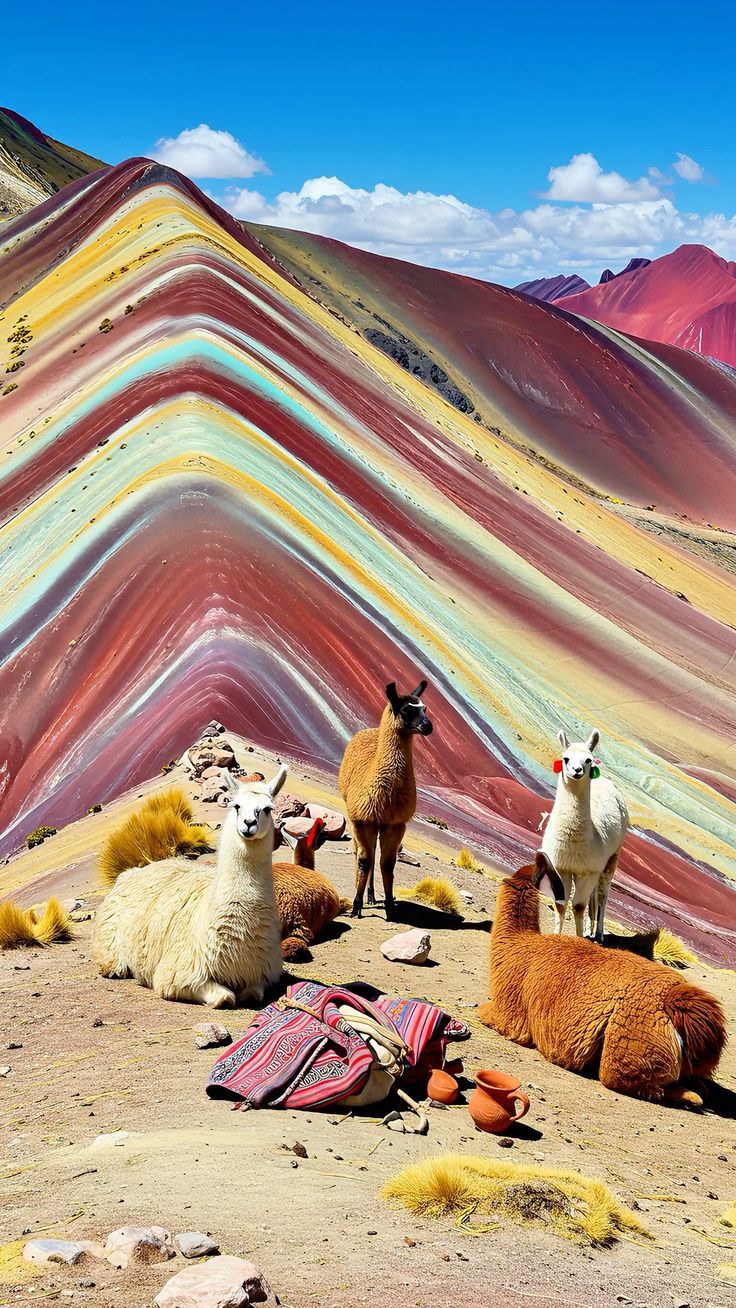  Brezilya – Arjantin – Uruguay – Peru (Cusco & Machu Picchu) – Şili